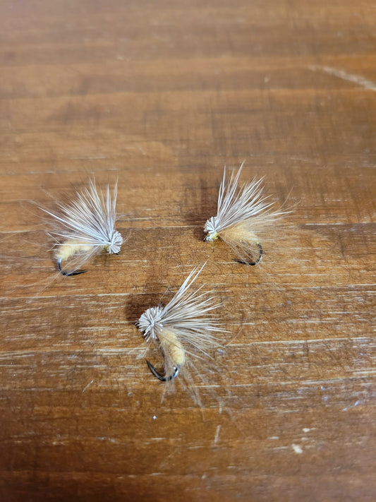 Lumpkin County Caddis